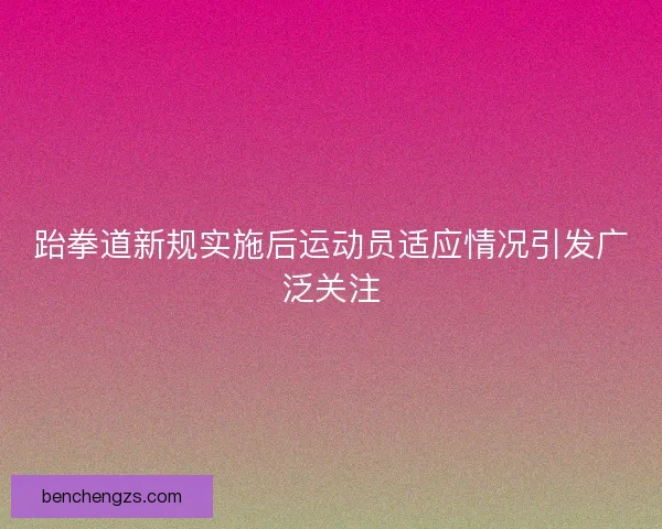 跆拳道新规实施后运动员适应情况引发广泛关注